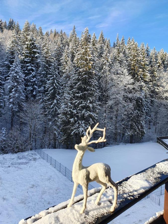 Apartament Ozon Poiana Brasov Esterno foto